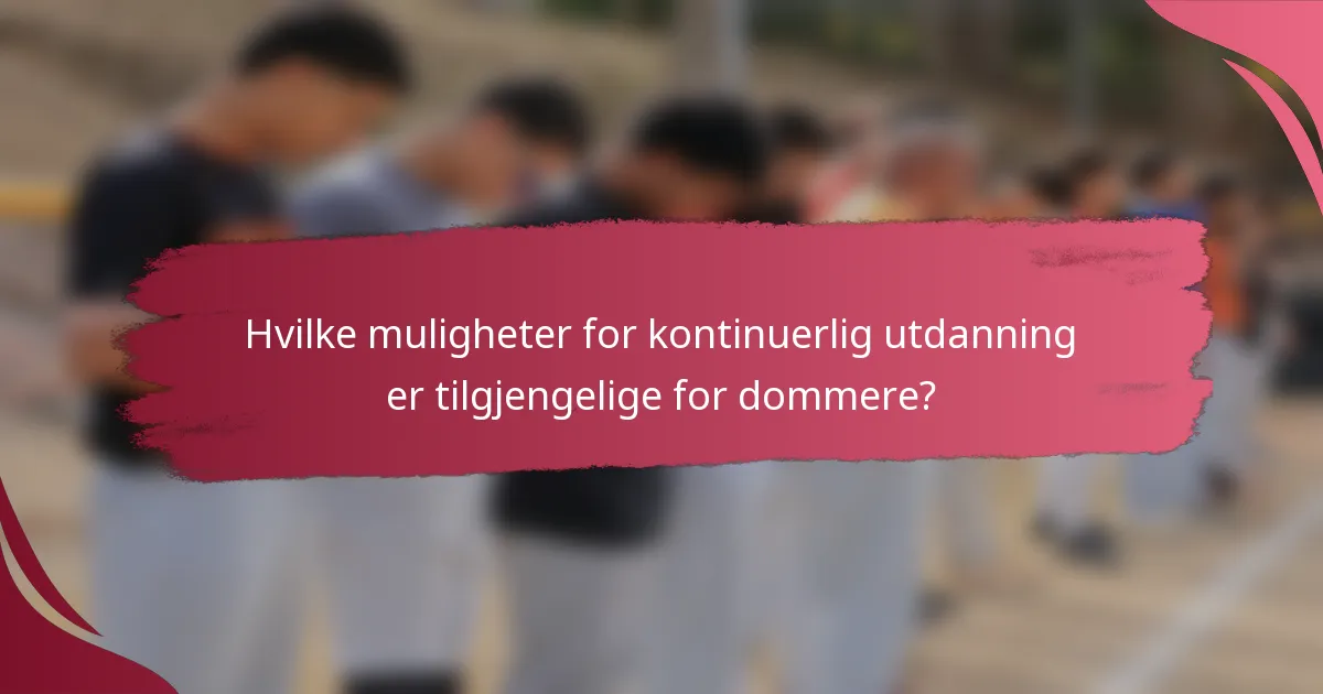 Hvilke muligheter for kontinuerlig utdanning er tilgjengelige for dommere?