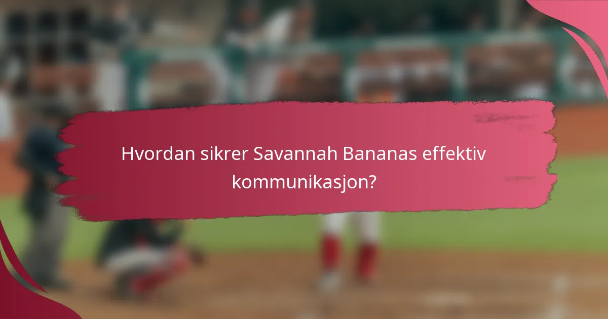 Hvordan sikrer Savannah Bananas effektiv kommunikasjon?